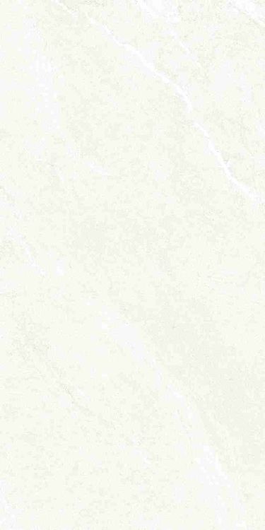 Dhara White Matte 24 x 48